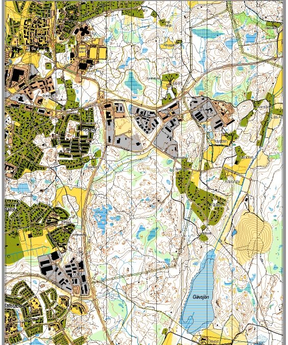 42 Vallentuna IP